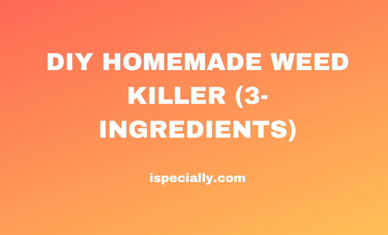 DIY HOMEMADE WEED KILLER (3-INGREDIENTS)