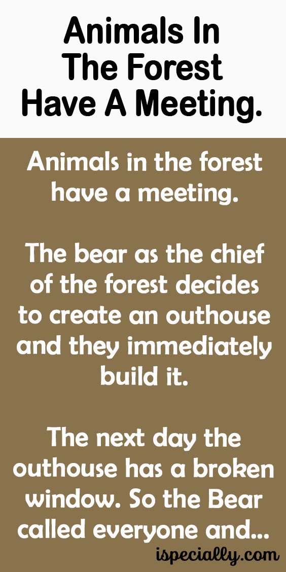 Animals In The Forest Have A Meeting. –