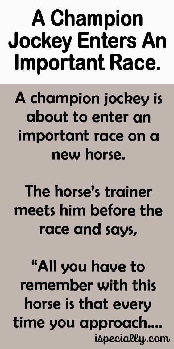 A Champion Jockey Enters An Important Race. –