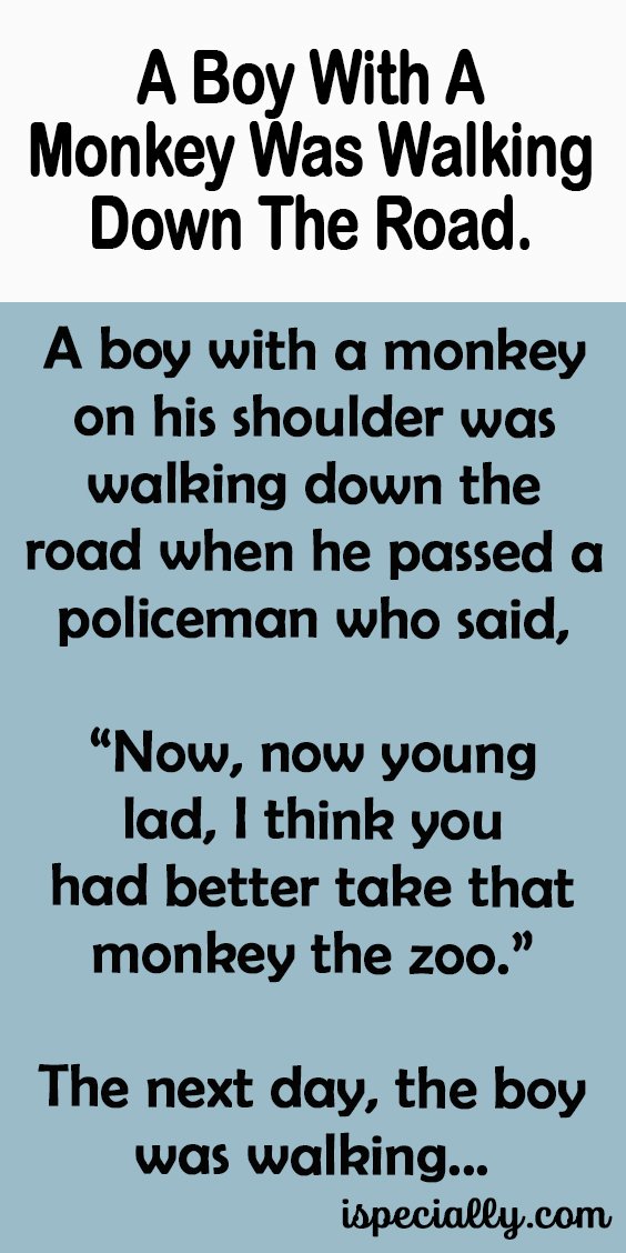 A Boy With A Monkey Was Walking Down The Road. –